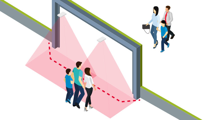 Vector 4D - Groups and Crowd Counting